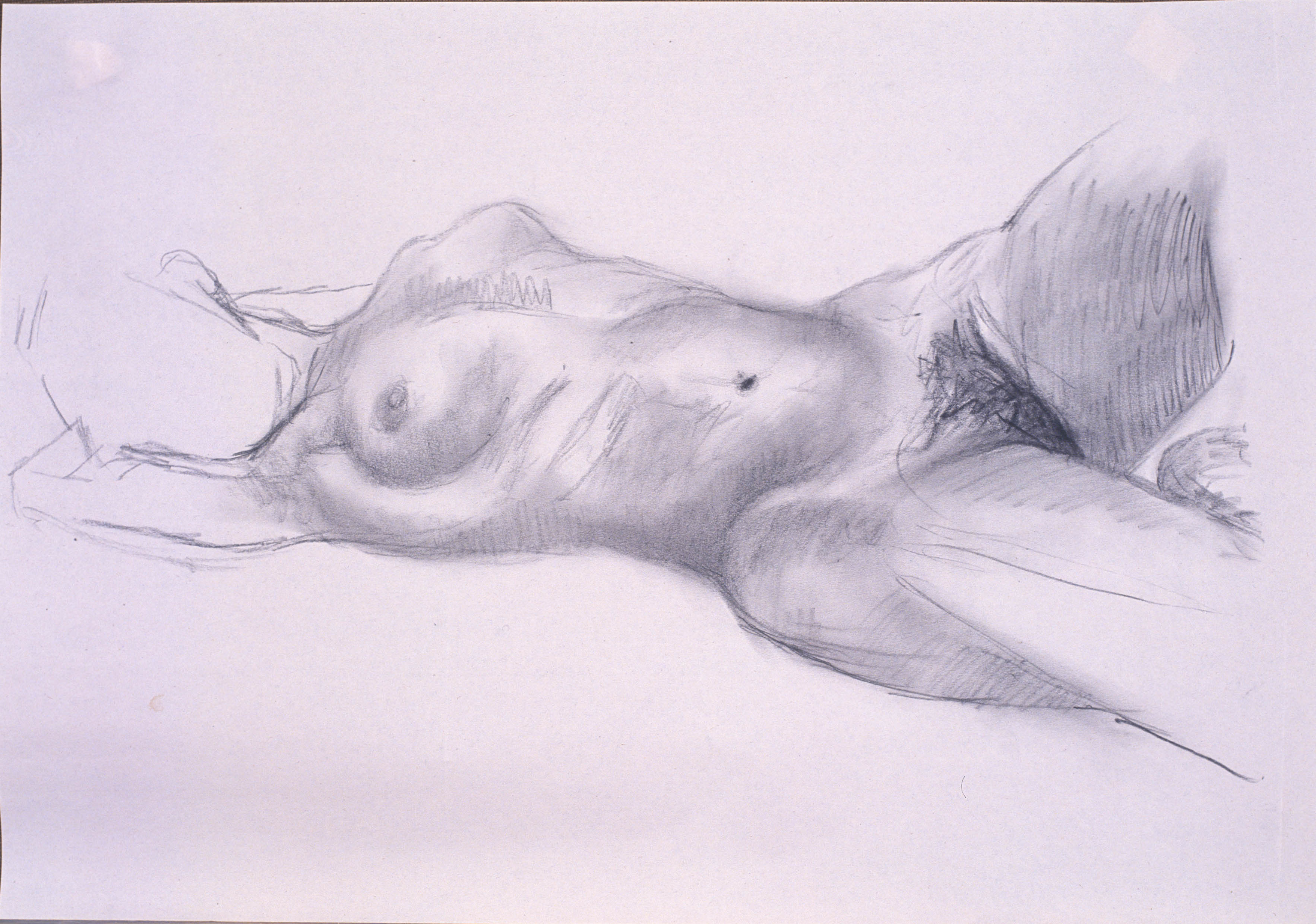 Nudo a carboncino 2